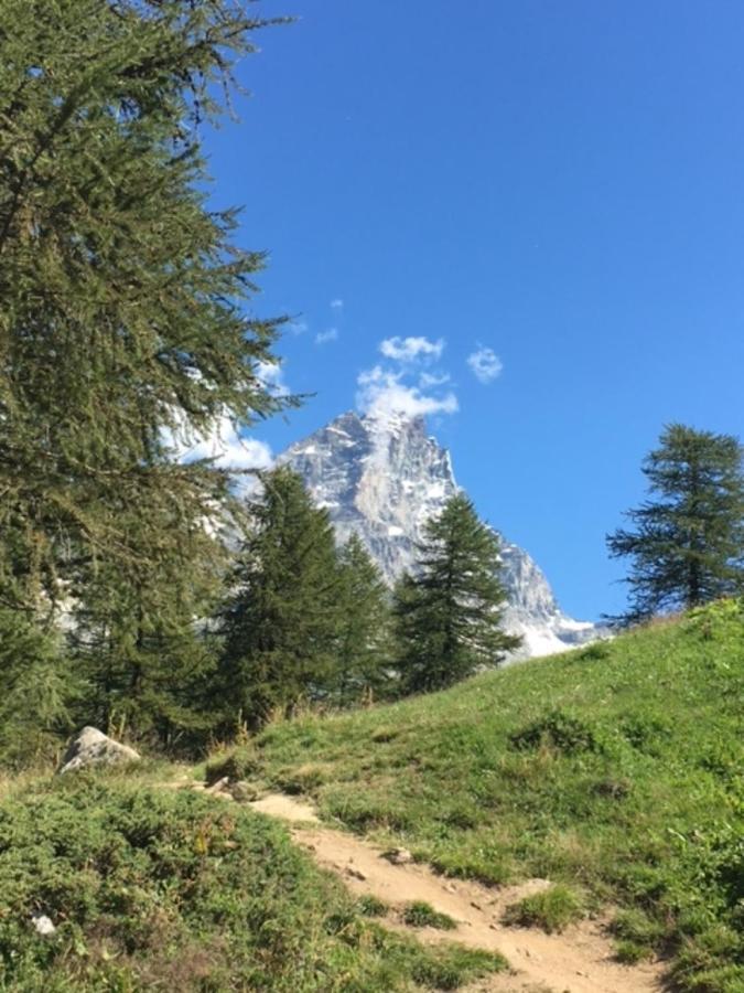 Casa Cervinia Circus Διαμέρισμα Breuil-Cervinia Εξωτερικό φωτογραφία