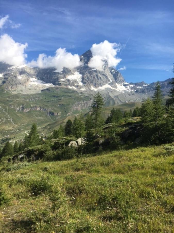 Casa Cervinia Circus Διαμέρισμα Breuil-Cervinia Εξωτερικό φωτογραφία
